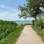 Naluri